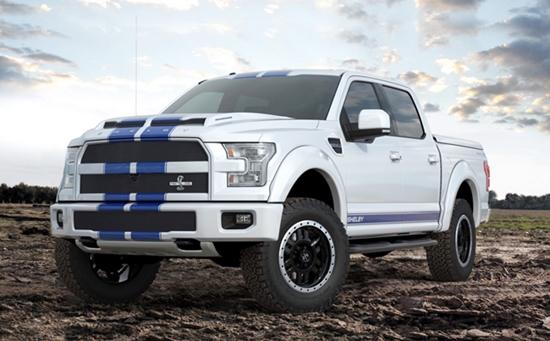 2017 Ford F 150 Photo